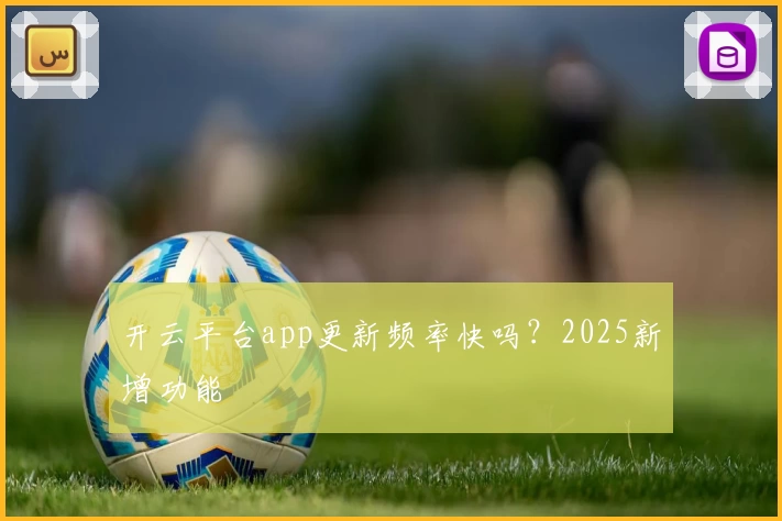 开云平台app更新频率快吗？2025新增功能