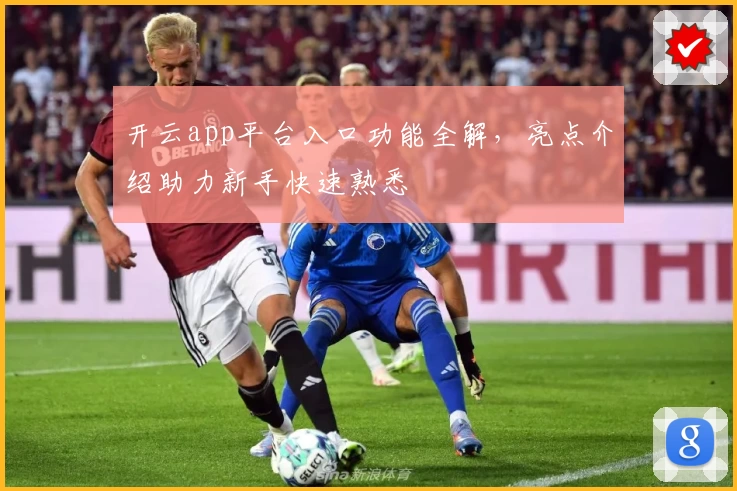 开云app平台入口功能全解，亮点介绍助力新手快速熟悉