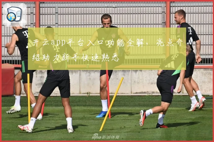 开云app平台入口功能全解，亮点介绍助力新手快速熟悉